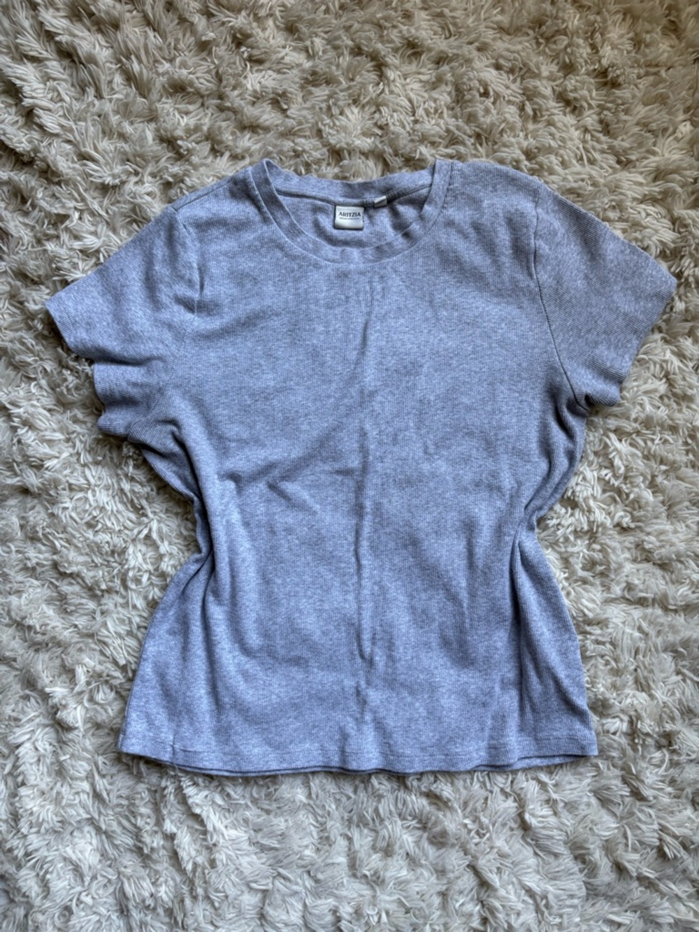 ribbed aritzia homestretch tee